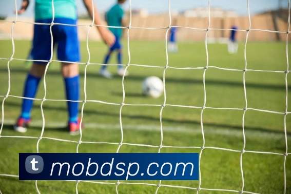 开云APP 高清赛事图